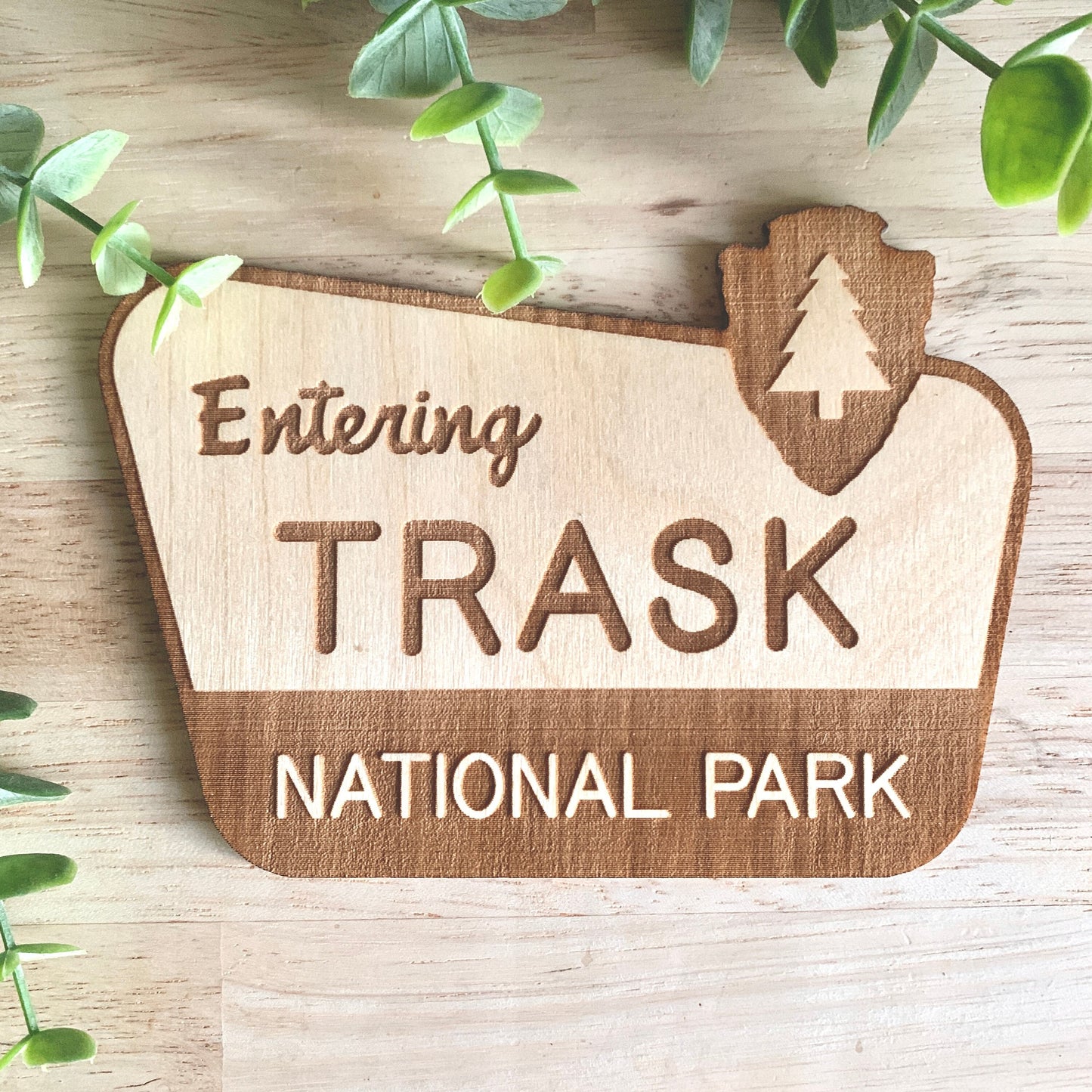 National Park Sign / Baby Name Sign / Last Name Sign / Wooden Name Sign / Baby Announcement Sign