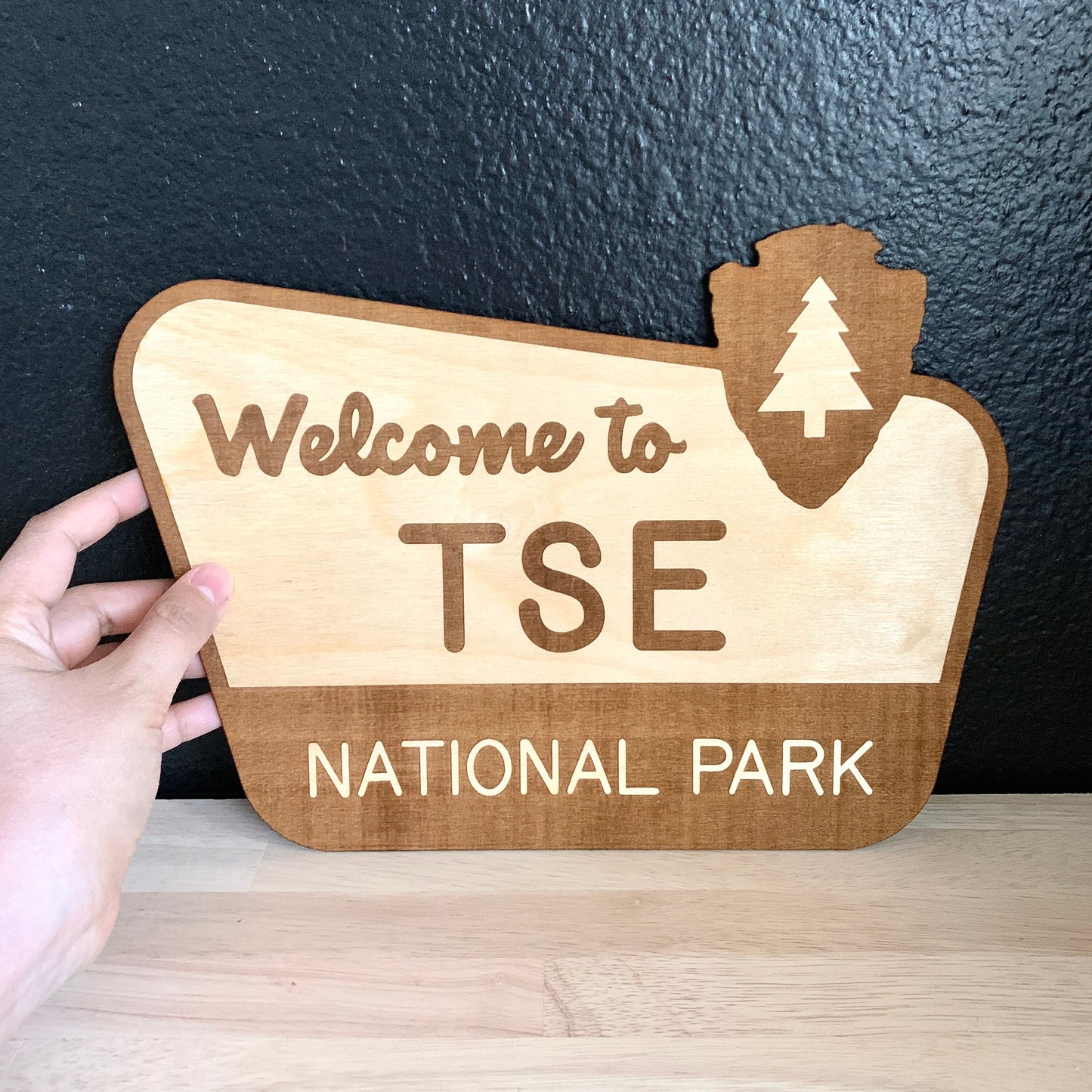 National Park Sign / Baby Name Sign / Last Name Sign / Wooden Name Sign / Baby Announcement Sign
