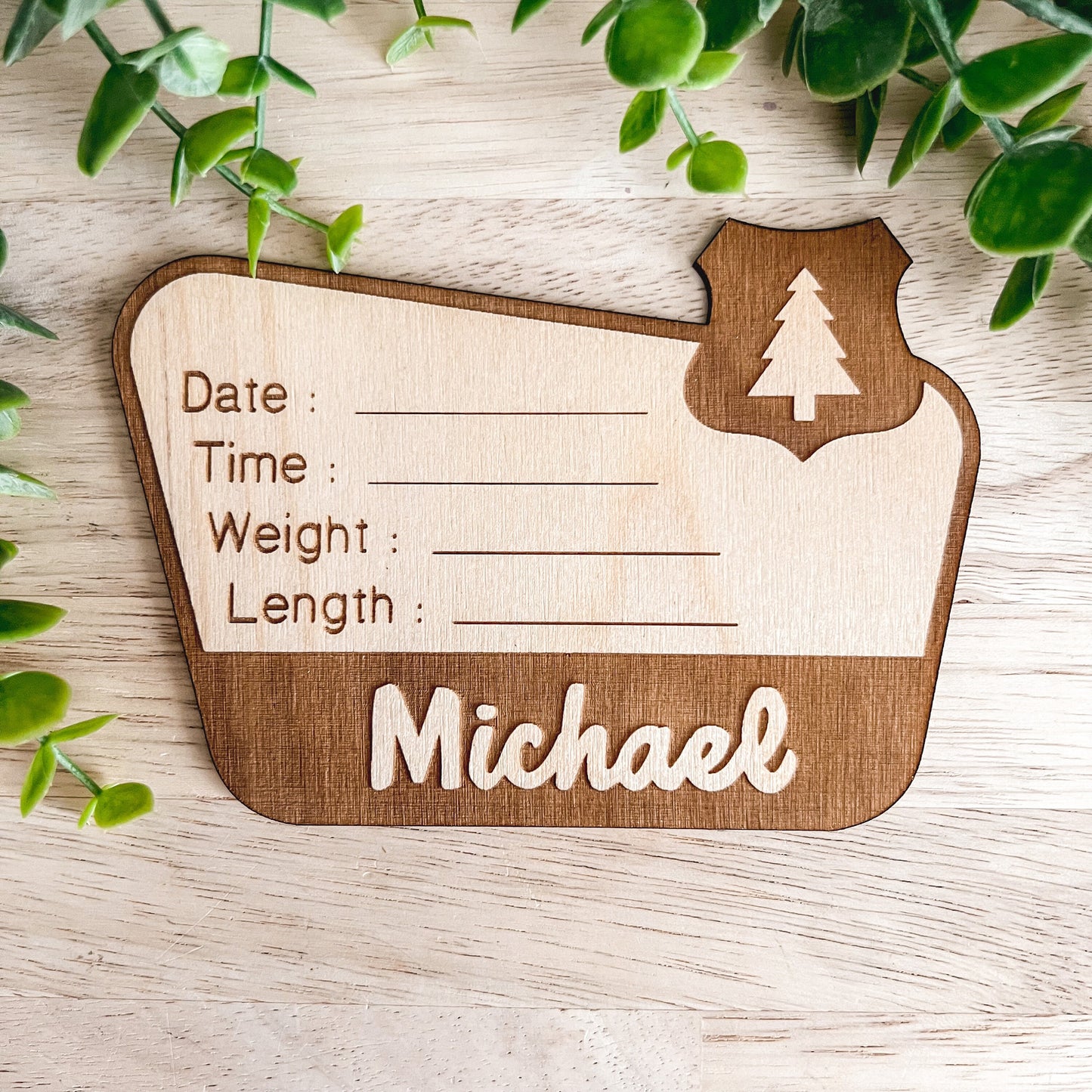 National Forest Birth Stats Sign / Baby Name Sign / Wooden New Born Name Sign / Hospital Baby Announcement Sign / National Park Sign