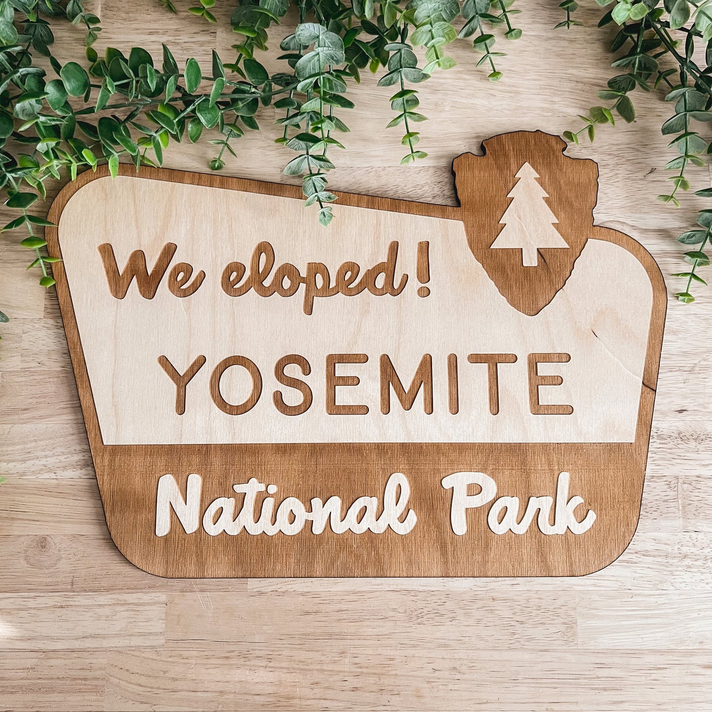 We Eloped Yosemite National Park Sign / Wooden Wedding Sign / Wedding Announcement Sign / Elopement Sign / Wedding Decor