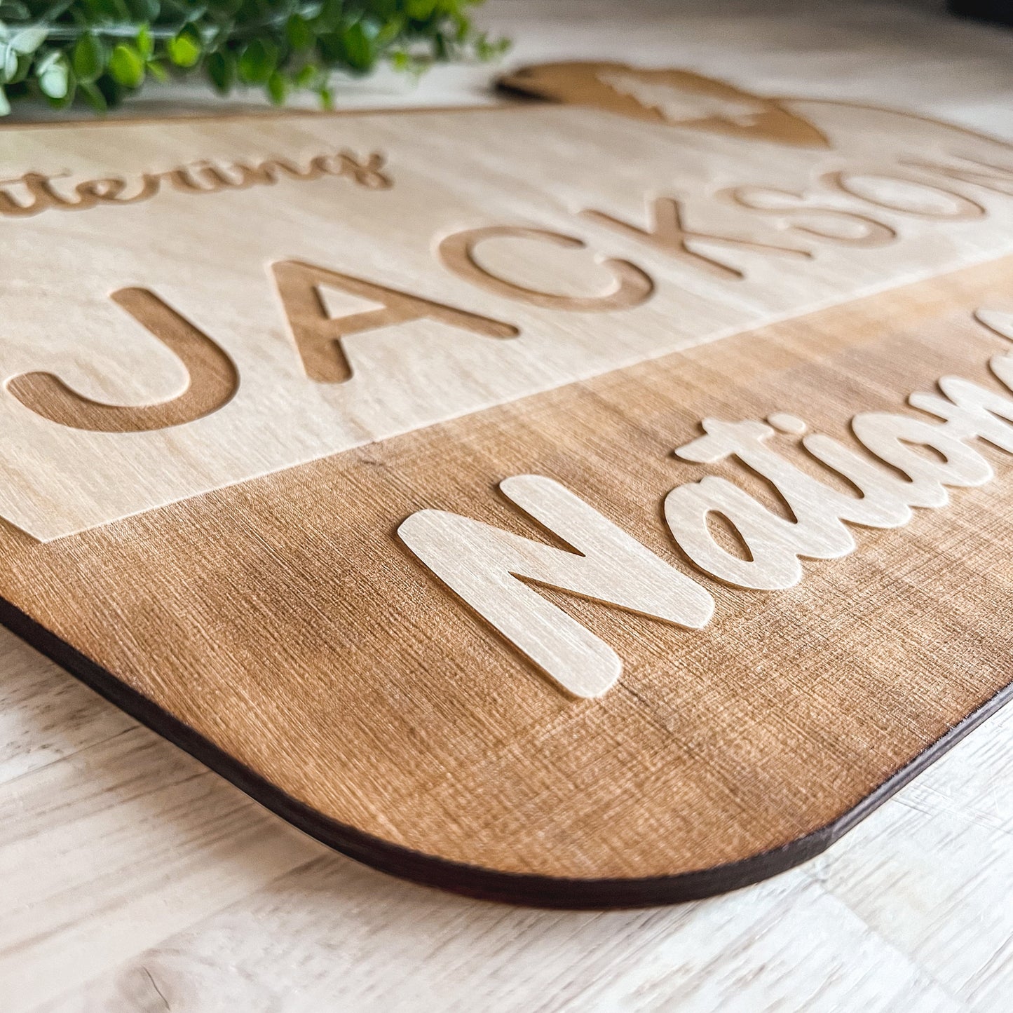 National Park Sign / Baby Name Sign / Last Name Sign / Wooden Name Sign / Baby Announcement Sign / Family Name Sign