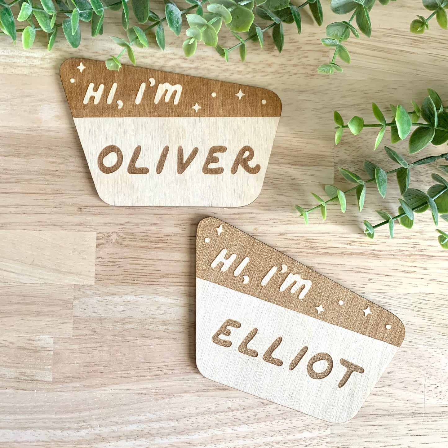 National Park Sign / Baby Name Sign / Hi I'm / Custom National Park Sign