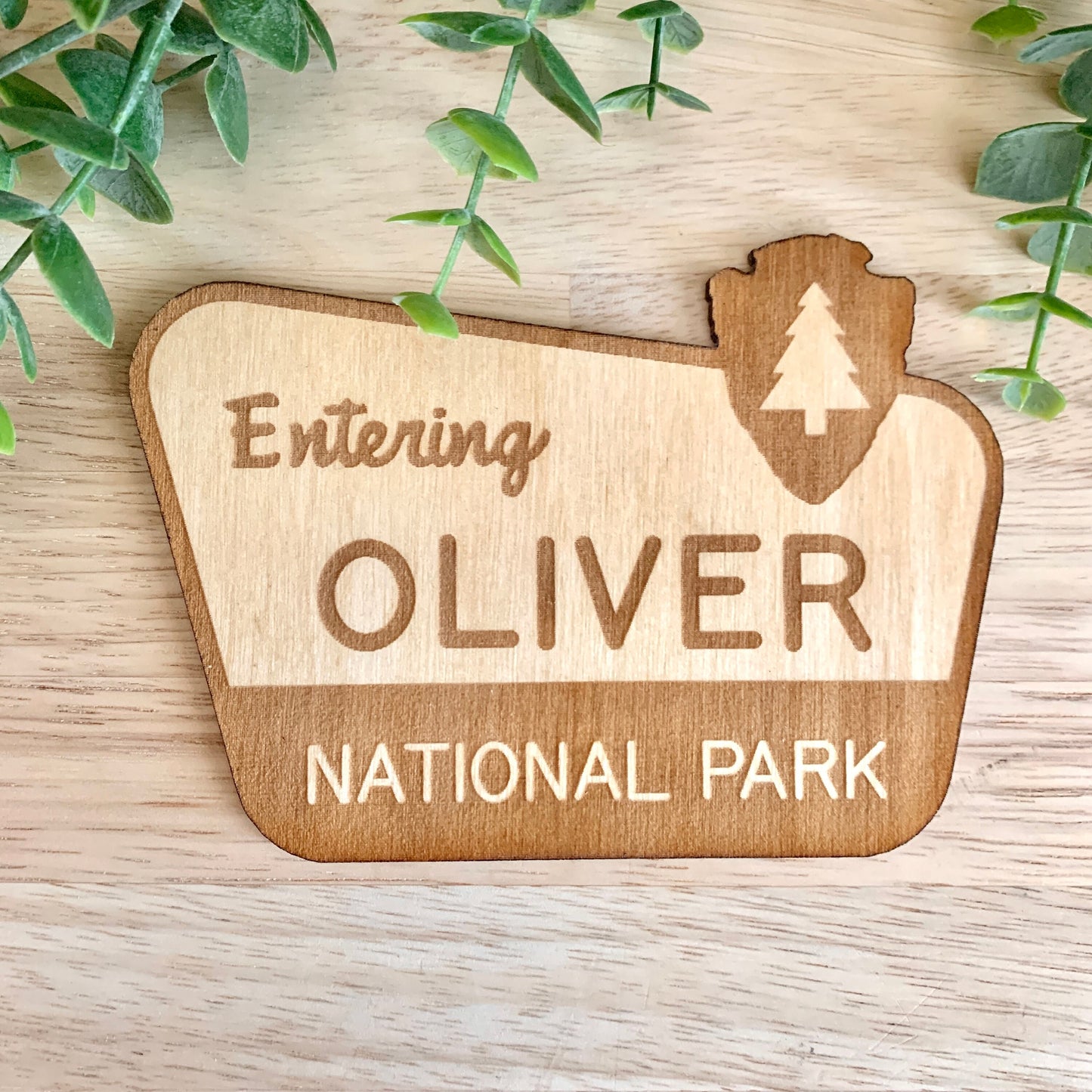 National Park Sign / Baby Name Sign / Last Name Sign / Wooden Name Sign / Baby Announcement Sign
