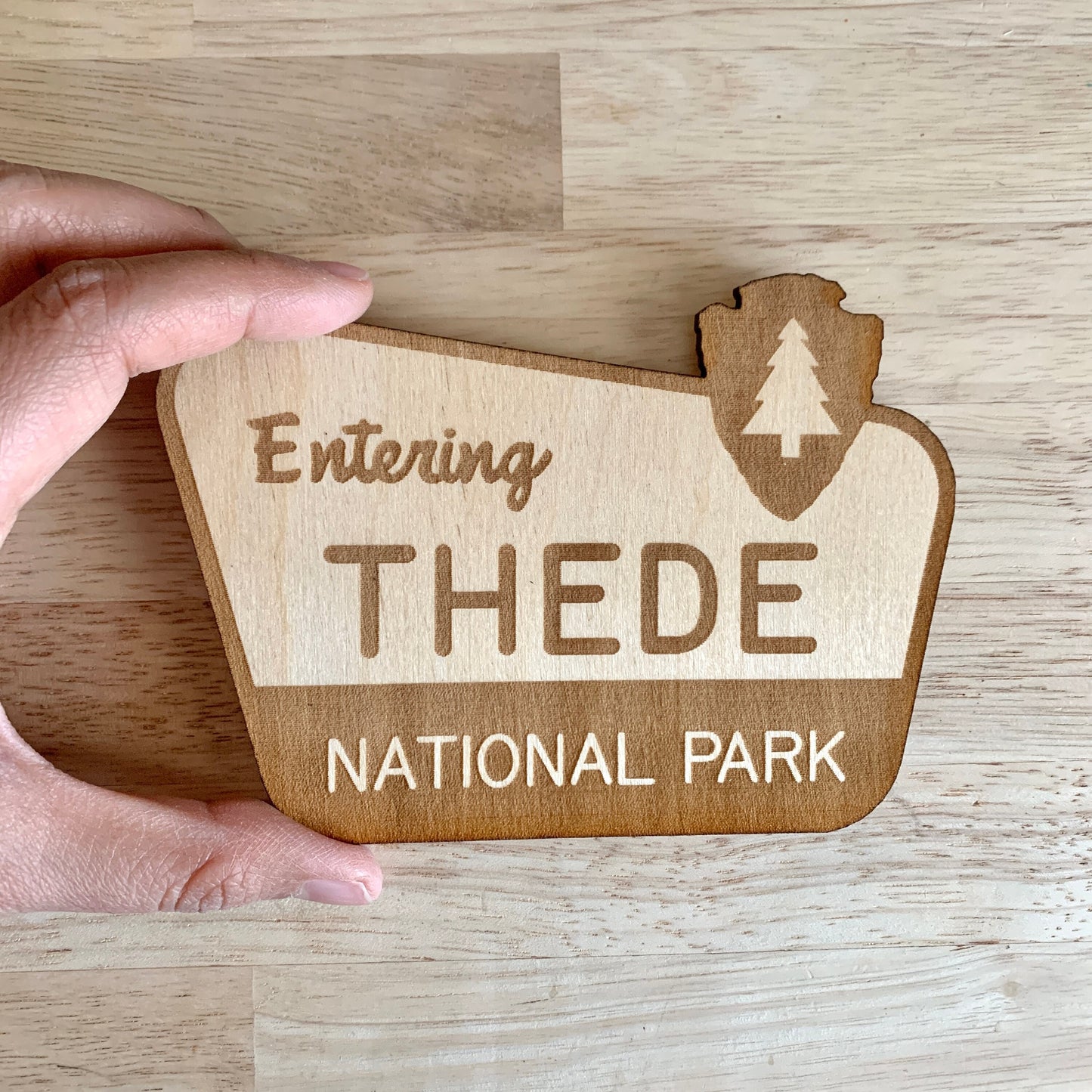 National Park Sign / Baby Name Sign / Last Name Sign / Wooden Name Sign / Baby Announcement Sign
