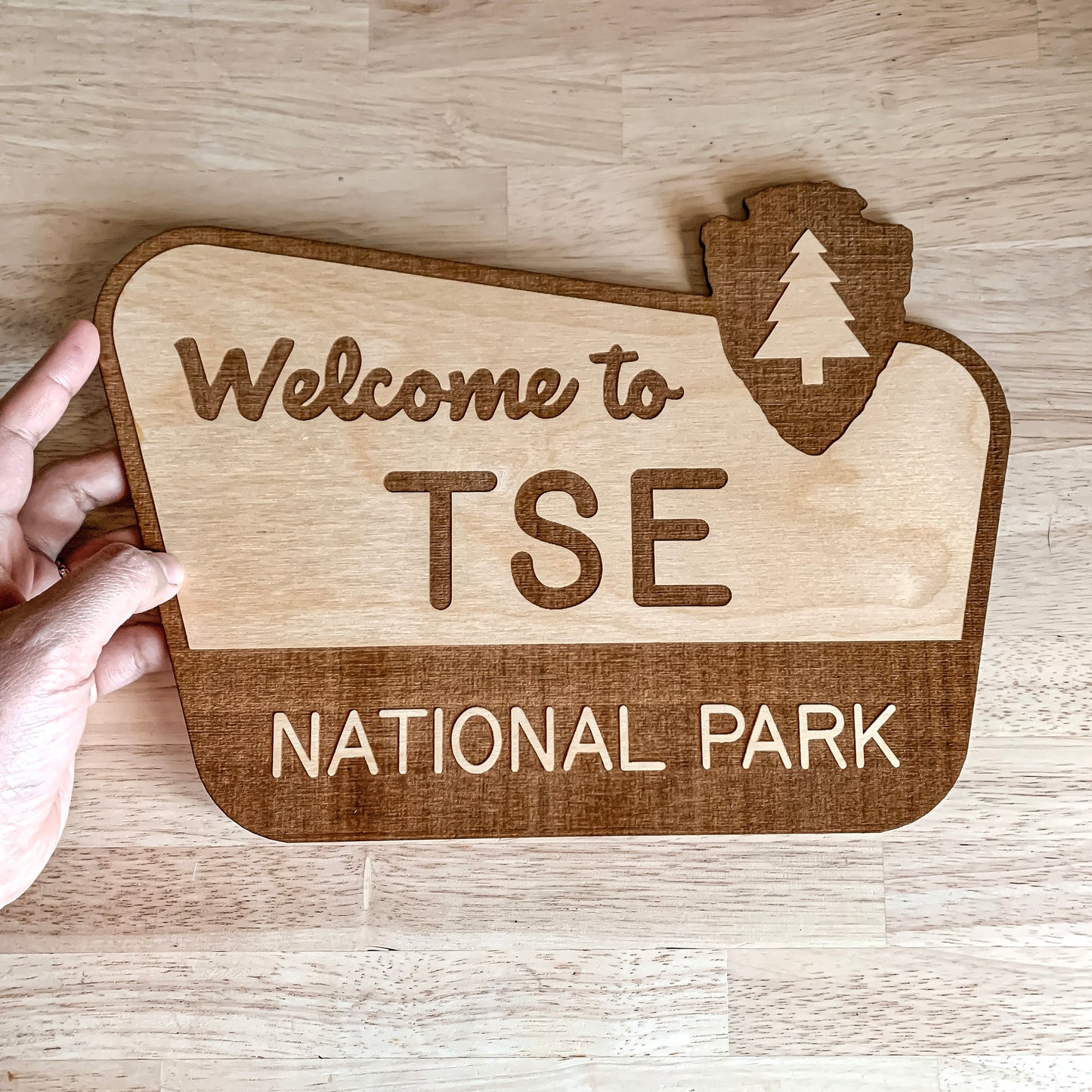 National Park Sign / Baby Name Sign / Last Name Sign / Wooden Name Sign / Baby Announcement Sign