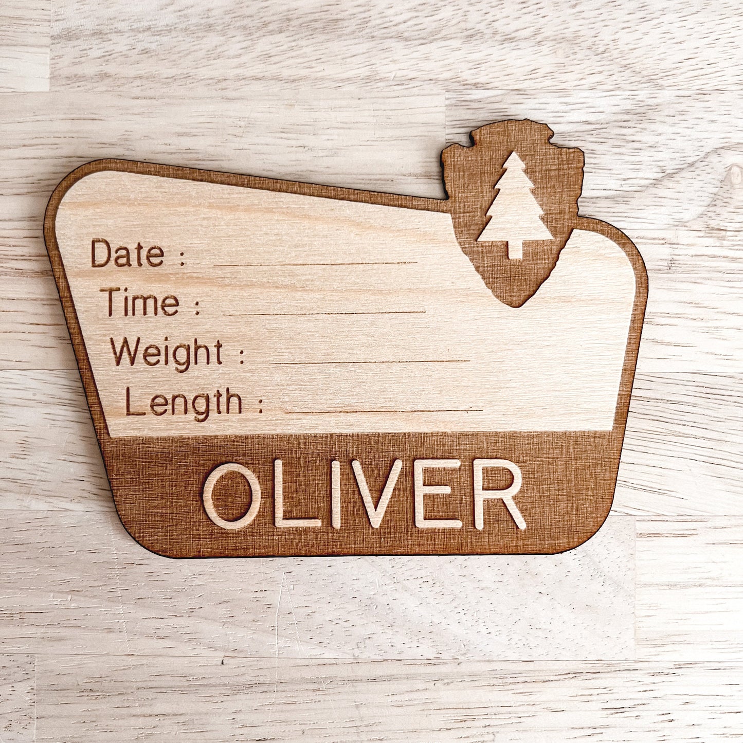 National Park Birth Stats Sign / Baby Name Sign / Wooden New Born Name Sign / Hospital Baby Announcement Sign