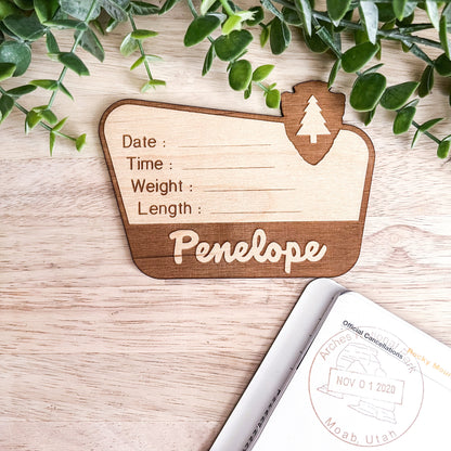 National Park Birth Stats Sign / Baby Name Sign / Wooden New Born Name Sign / Baby Announcement Sign