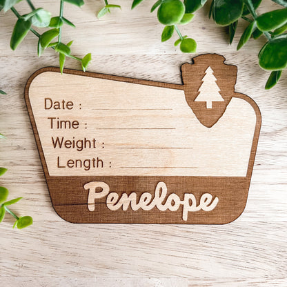 National Park Birth Stats Sign / Baby Name Sign / Wooden New Born Name Sign / Baby Announcement Sign