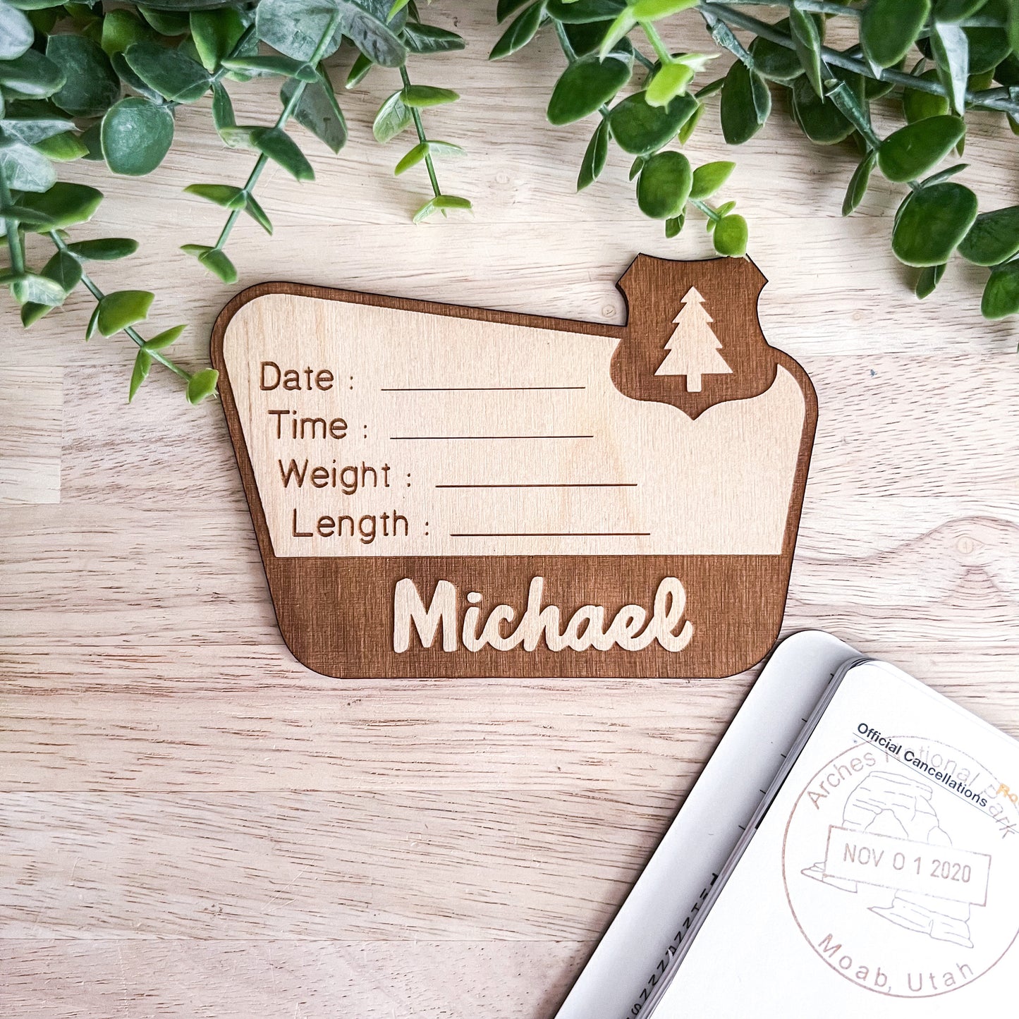 National Forest Birth Stats Sign / Baby Name Sign / Wooden New Born Name Sign / Hospital Baby Announcement Sign / National Park Sign