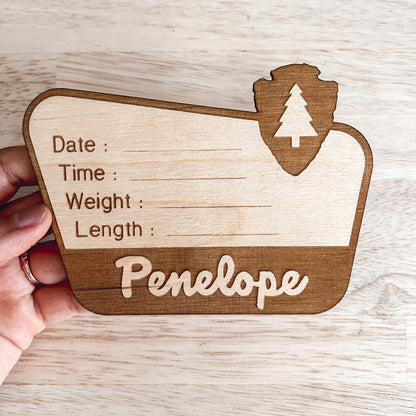 National Park Birth Stats Sign / Baby Name Sign / Wooden New Born Name Sign / Baby Announcement Sign