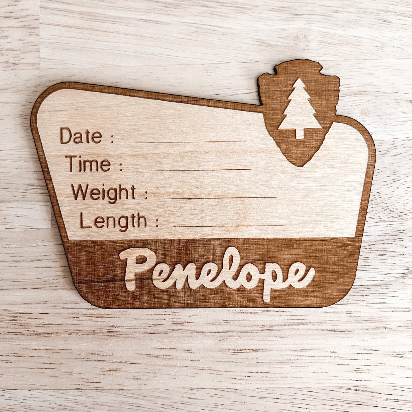 National Park Birth Stats Sign / Baby Name Sign / Wooden New Born Name Sign / Baby Announcement Sign