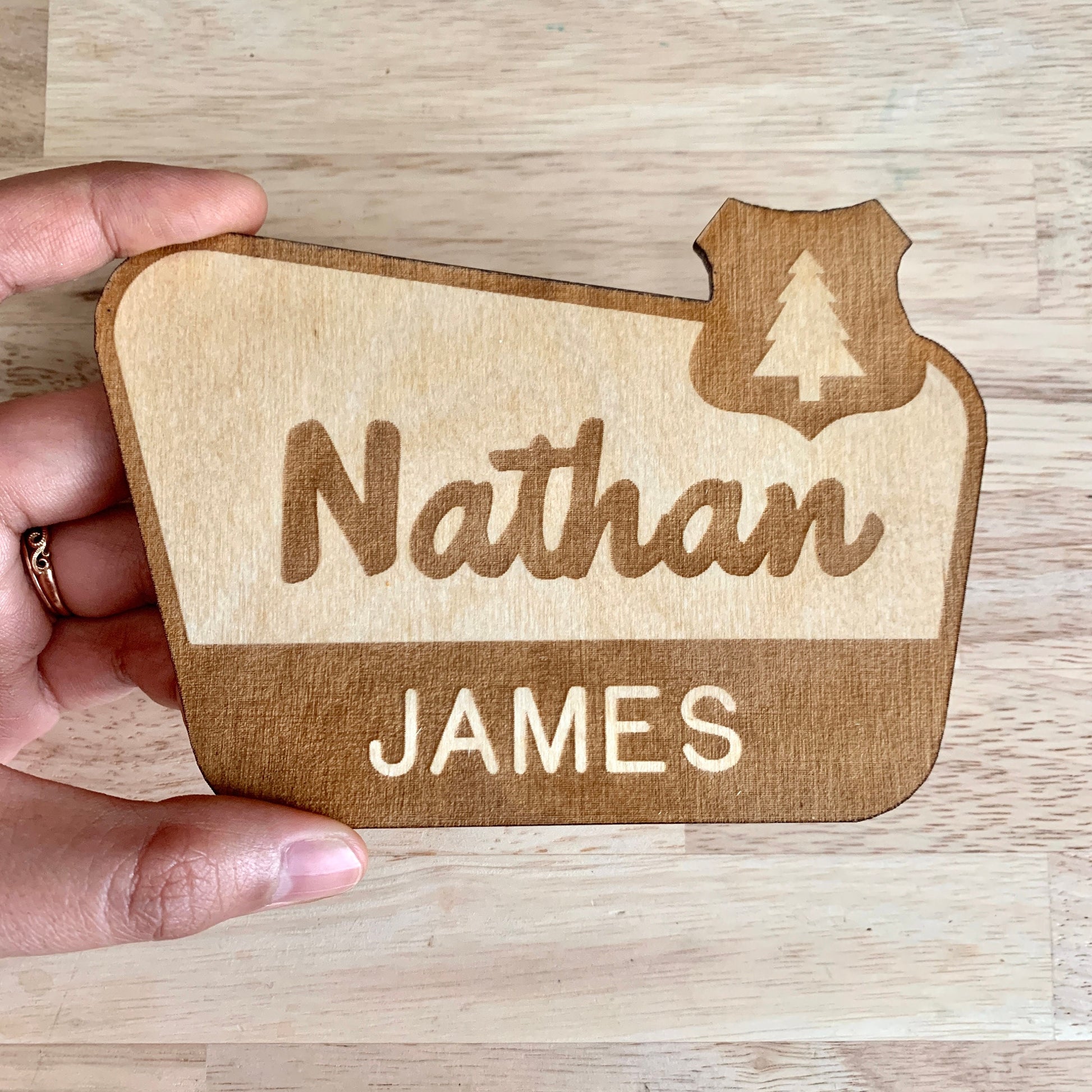 National Park Sign / Baby Name Sign / Last Name Sign / Wooden Name Sign / Baby Announcement Sign