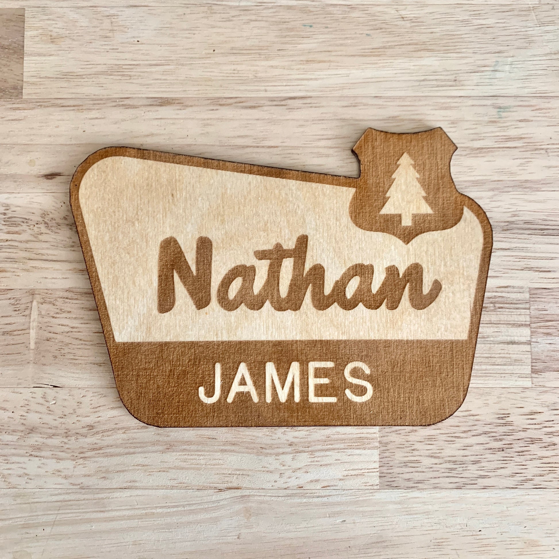 National Park Sign / Baby Name Sign / Last Name Sign / Wooden Name Sign / Baby Announcement Sign