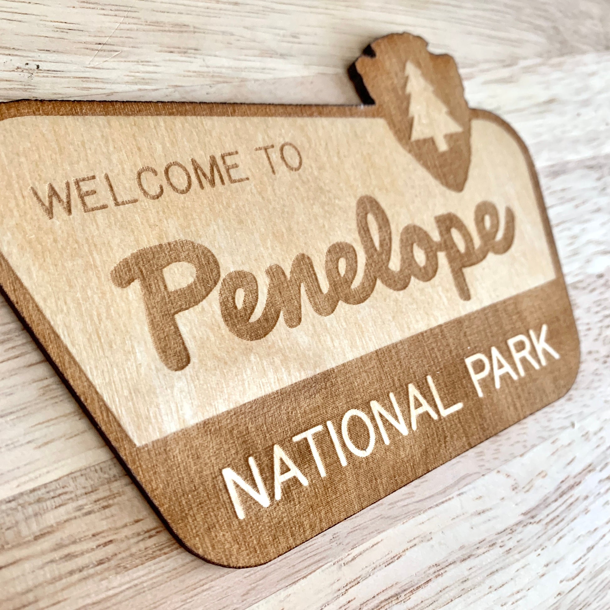 National Park Sign / Baby Name Sign / Last Name Sign / Wooden Name Sign / Baby Announcement Sign