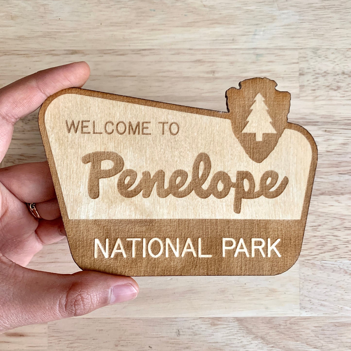 National Park Sign / Baby Name Sign / Last Name Sign / Wooden Name Sign / Baby Announcement Sign
