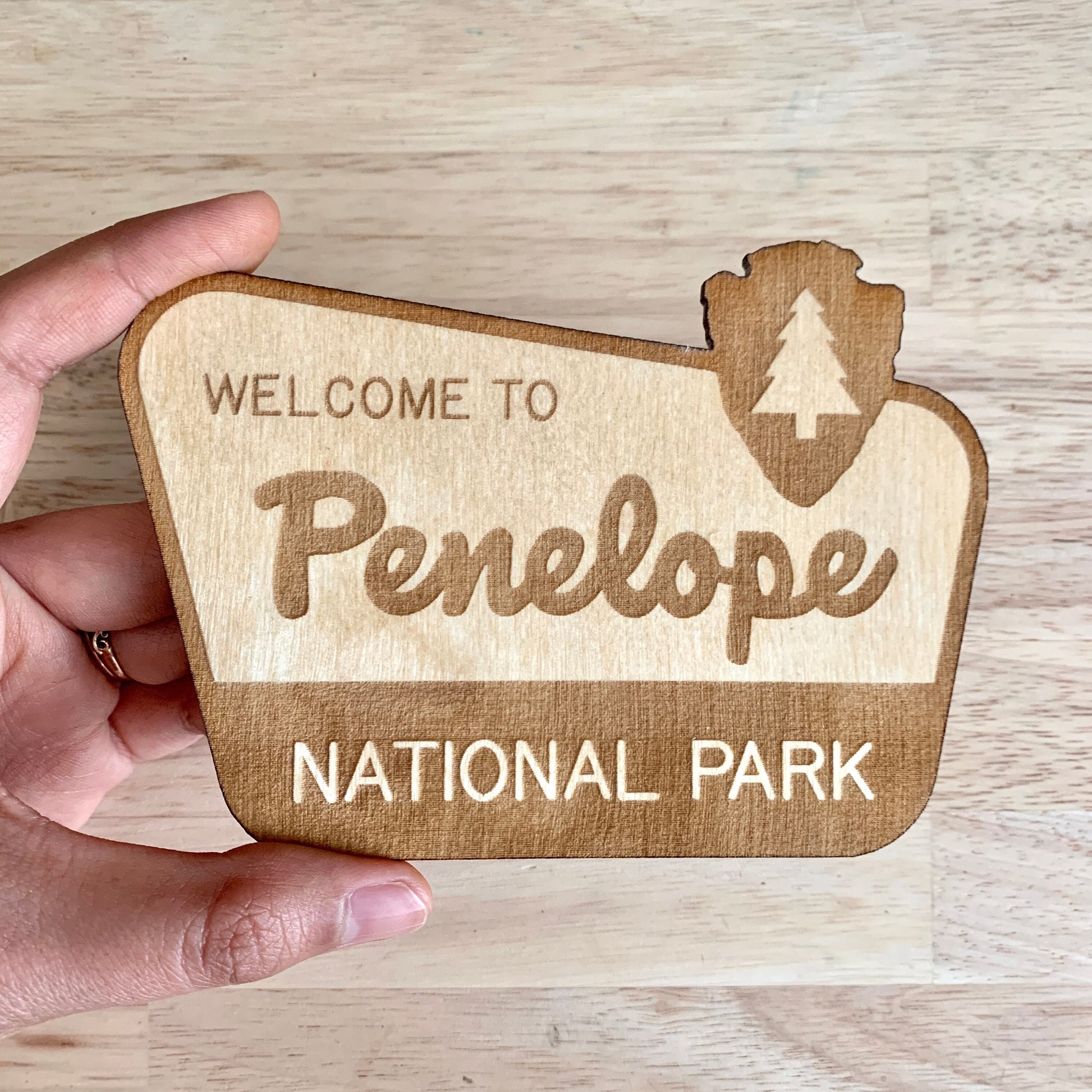 National Park Sign / Baby Name Sign / Last Name Sign / Wooden Name Sign / Baby Announcement Sign