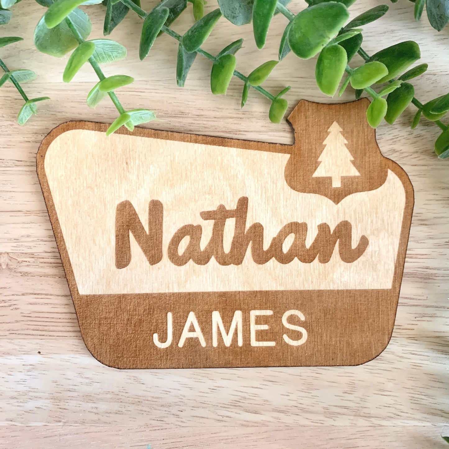 National Park Sign / Baby Name Sign / Last Name Sign / Wooden Name Sign / Baby Announcement Sign
