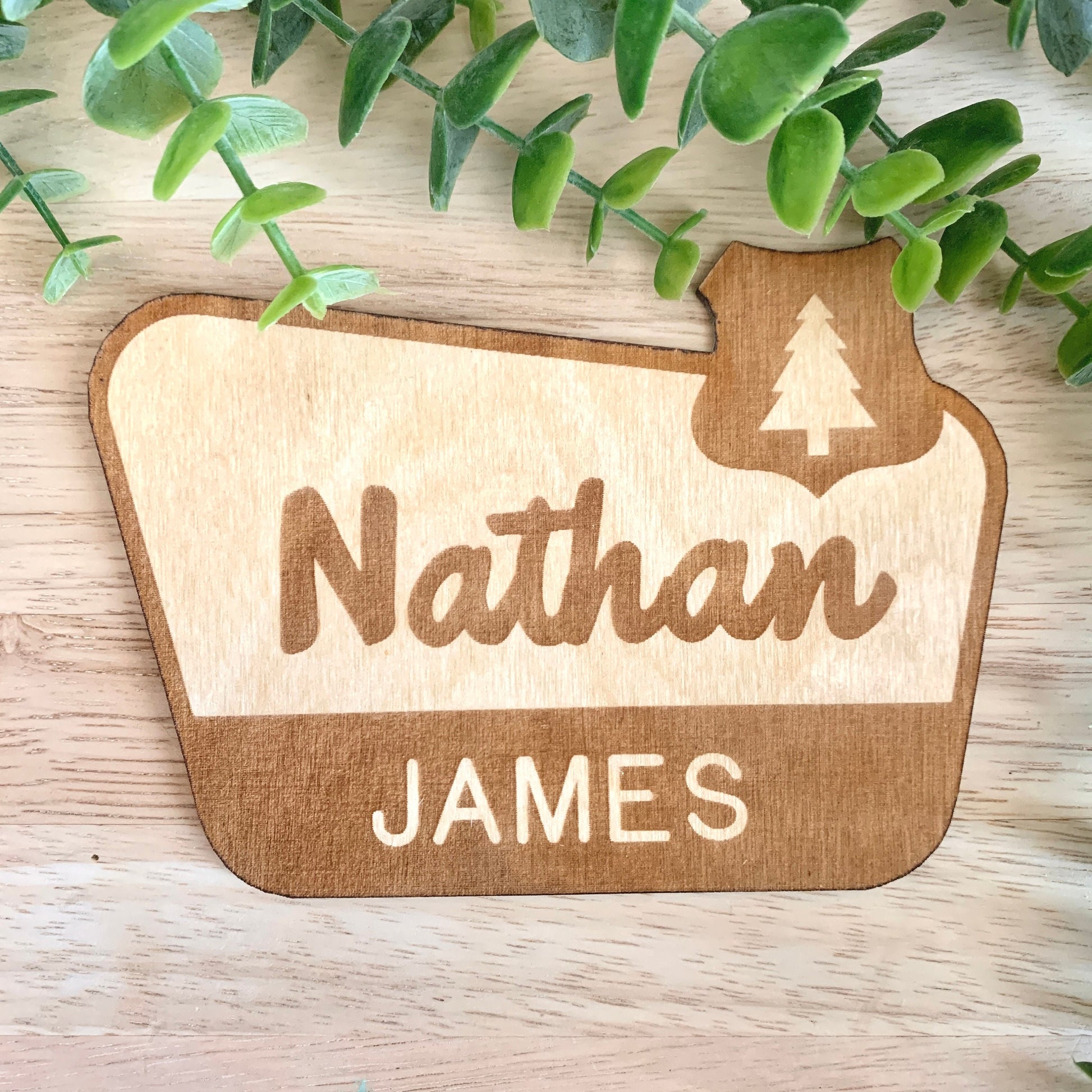 National Park Sign / Baby Name Sign / Last Name Sign / Wooden Name Sign / Baby Announcement Sign