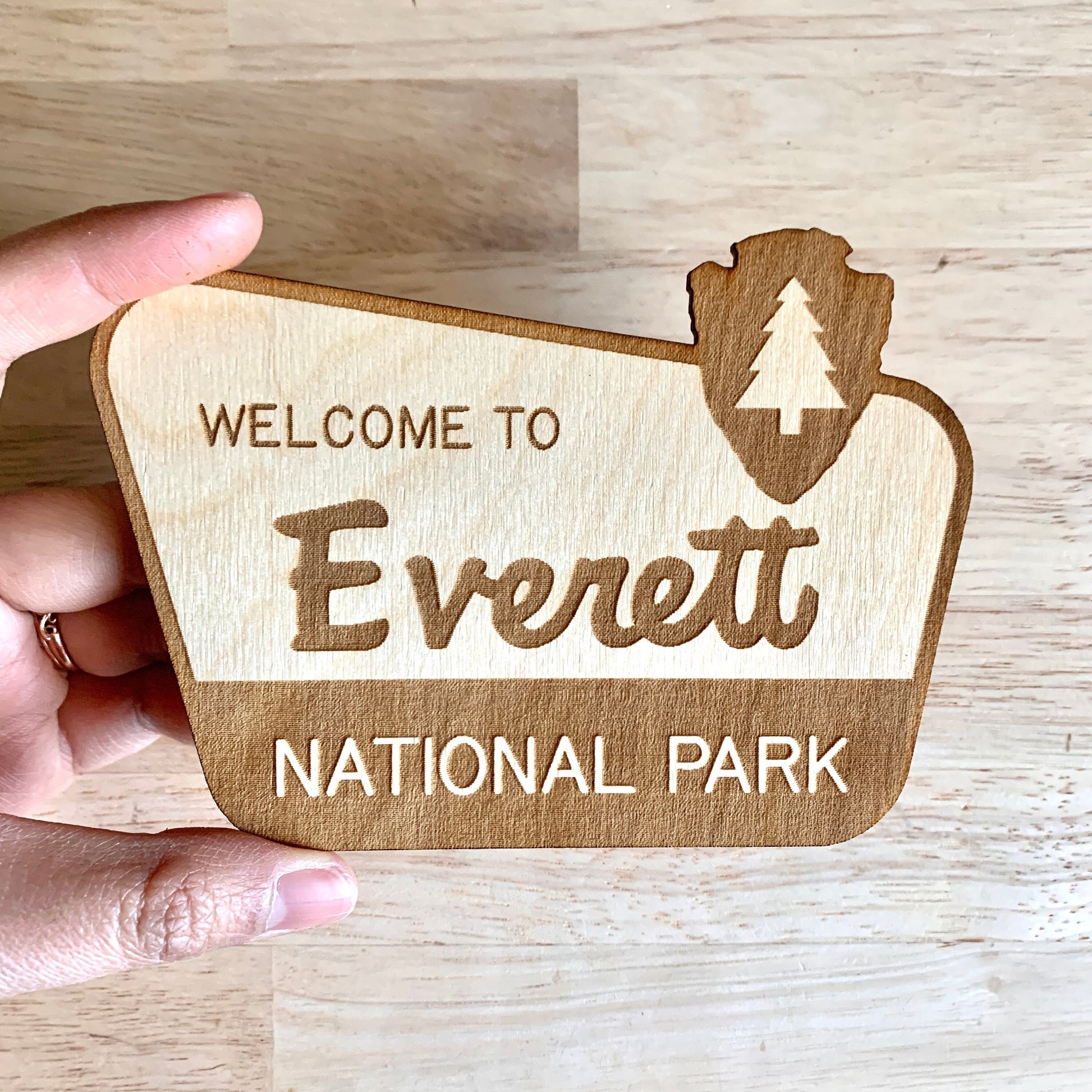 National Park Sign / Baby Name Sign / Last Name Sign / Wooden Name Sign / Baby Announcement Sign