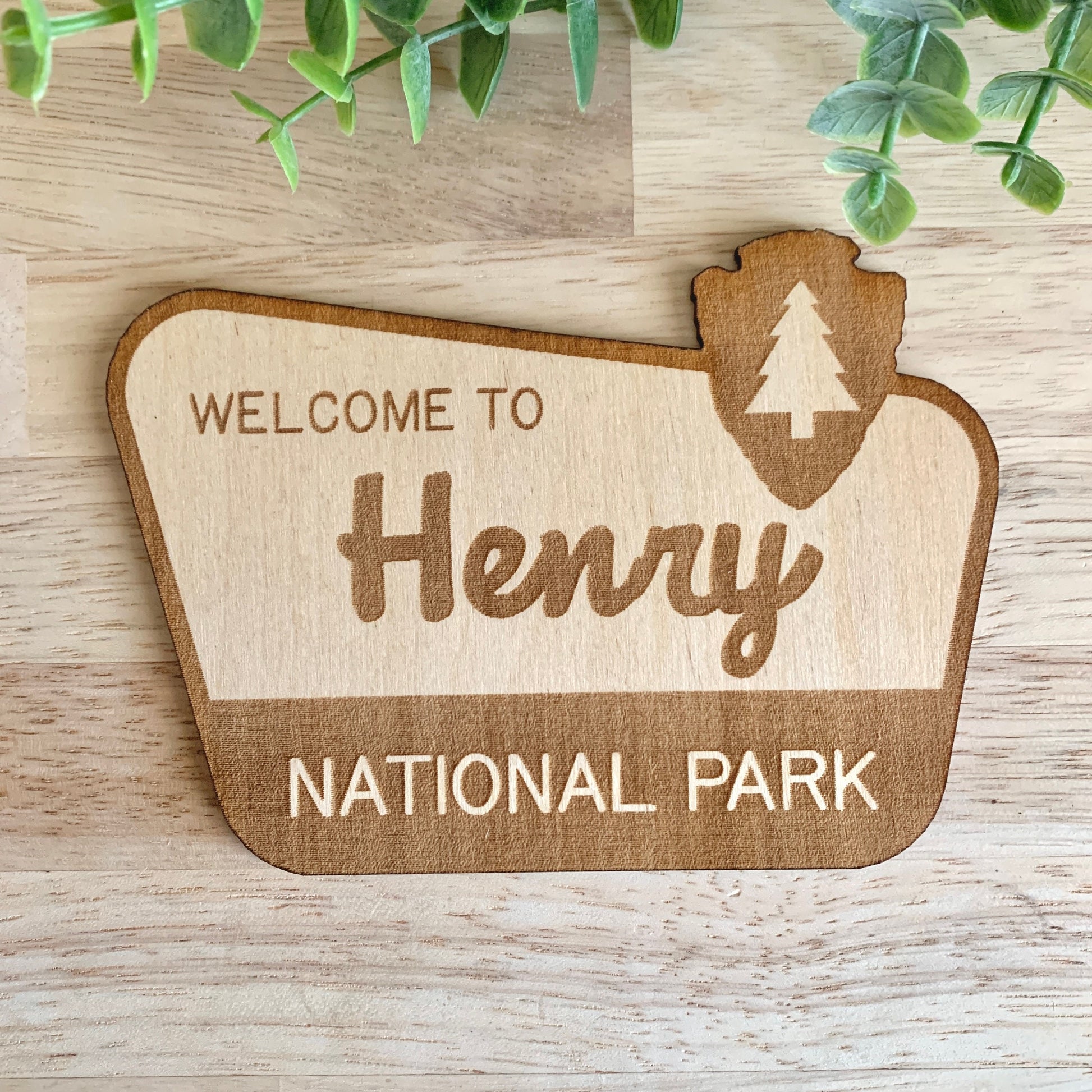 National Park Sign / Baby Name Sign / Last Name Sign / Wooden Name Sign / Baby Announcement Sign