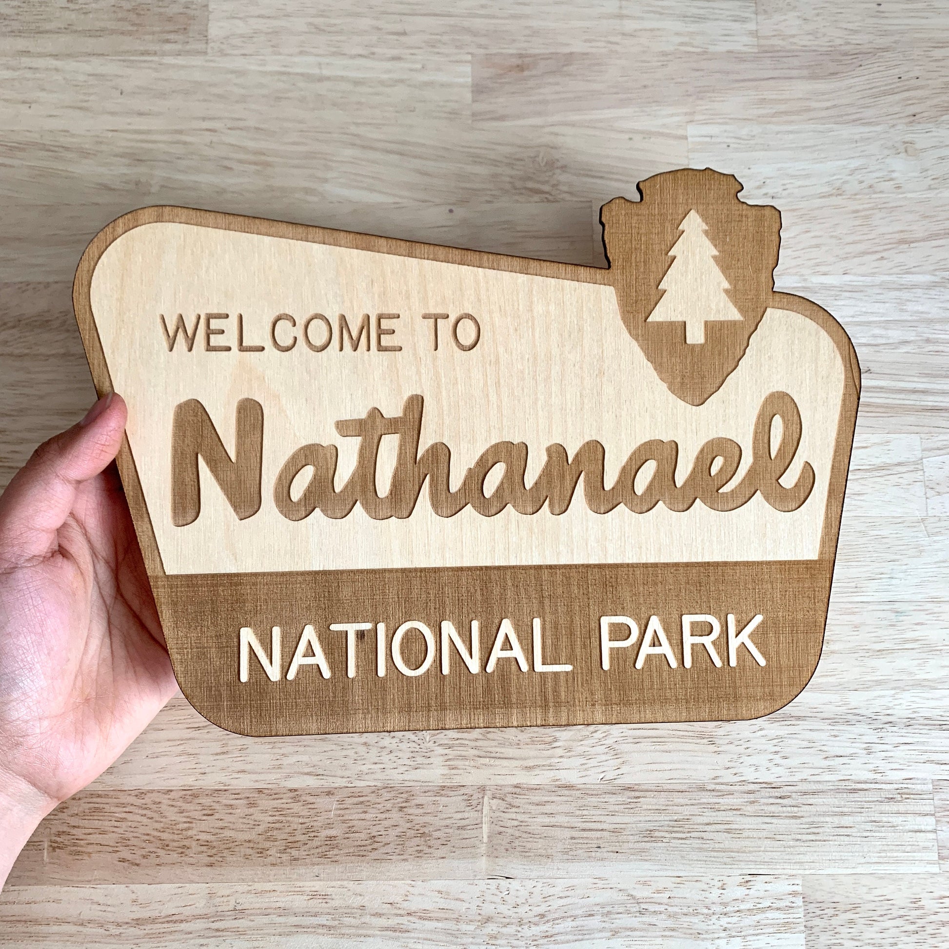 National Park Sign / Baby Name Sign / Last Name Sign / Wooden Name Sign / Baby Announcement Sign
