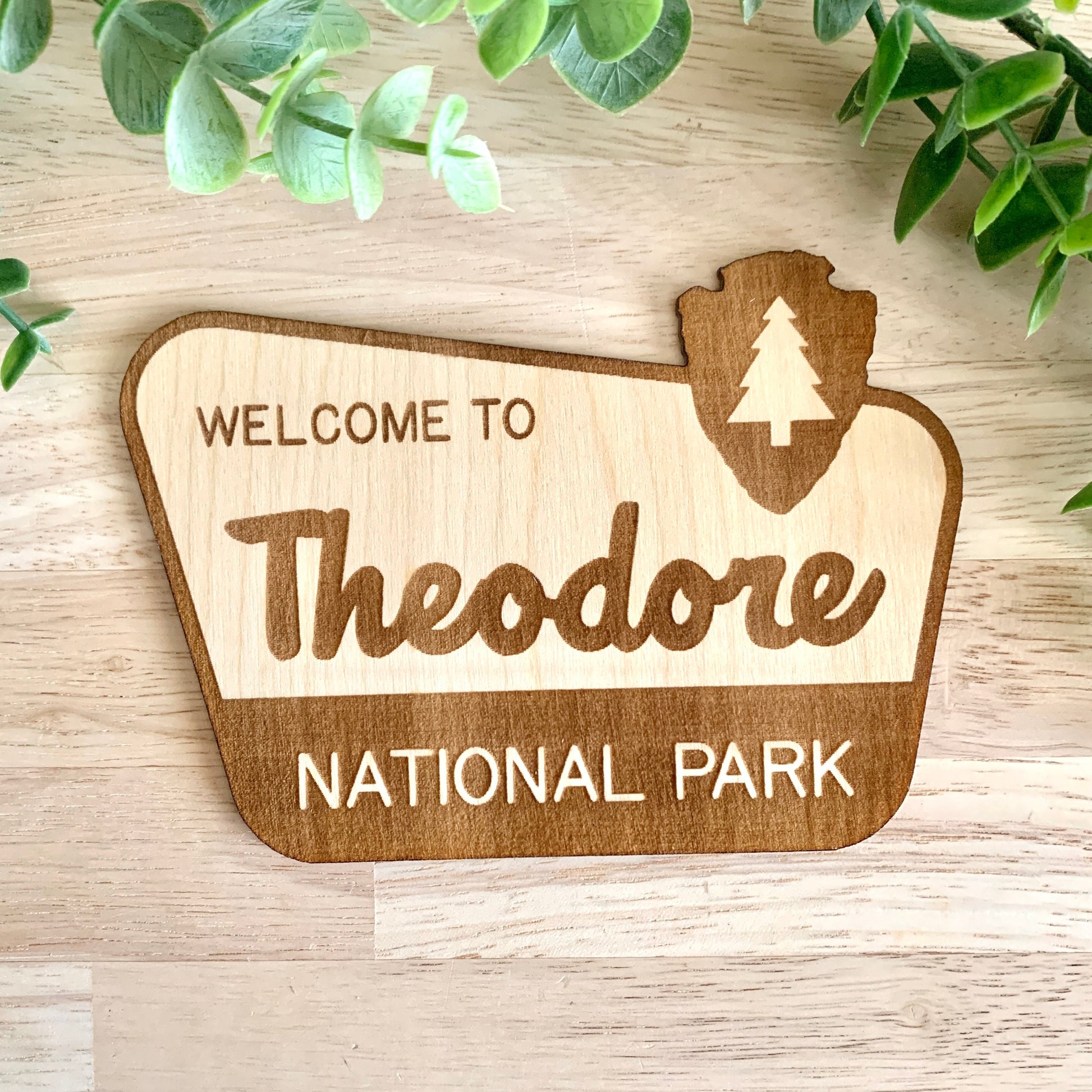 National Park Sign / Baby Name Sign / Last Name Sign / Wooden Name Sign / Baby Announcement Sign