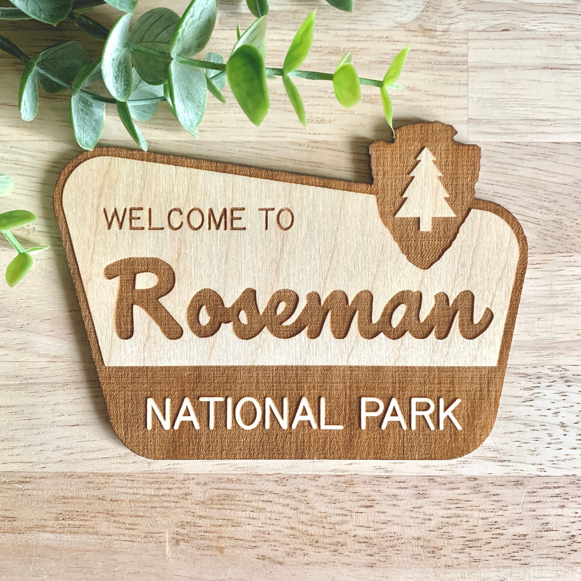 National Park Sign / Baby Name Sign / Last Name Sign / Wooden Name Sign / Baby Announcement Sign