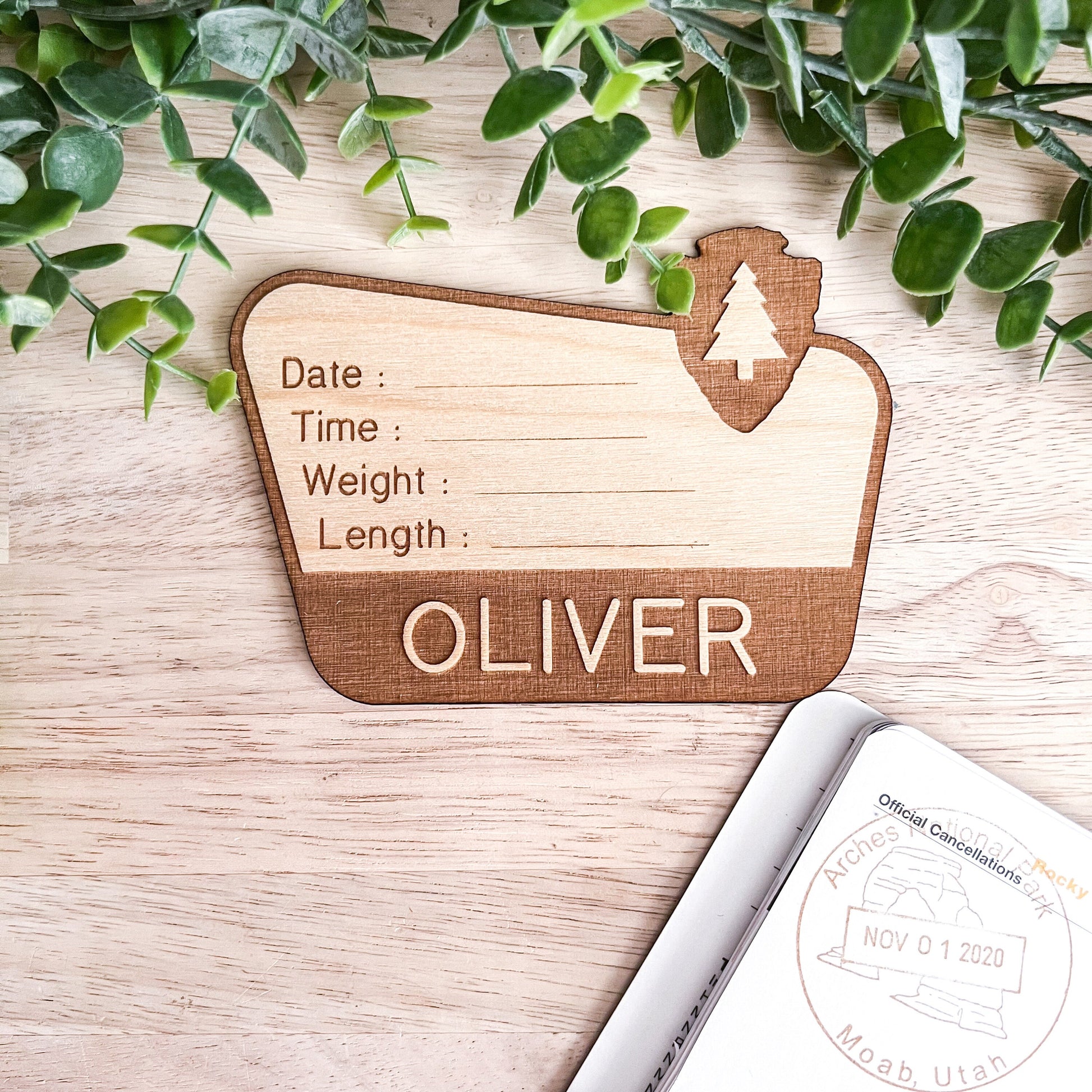 National Park Birth Stats Sign / Baby Name Sign / Wooden New Born Name Sign / Hospital Baby Announcement Sign