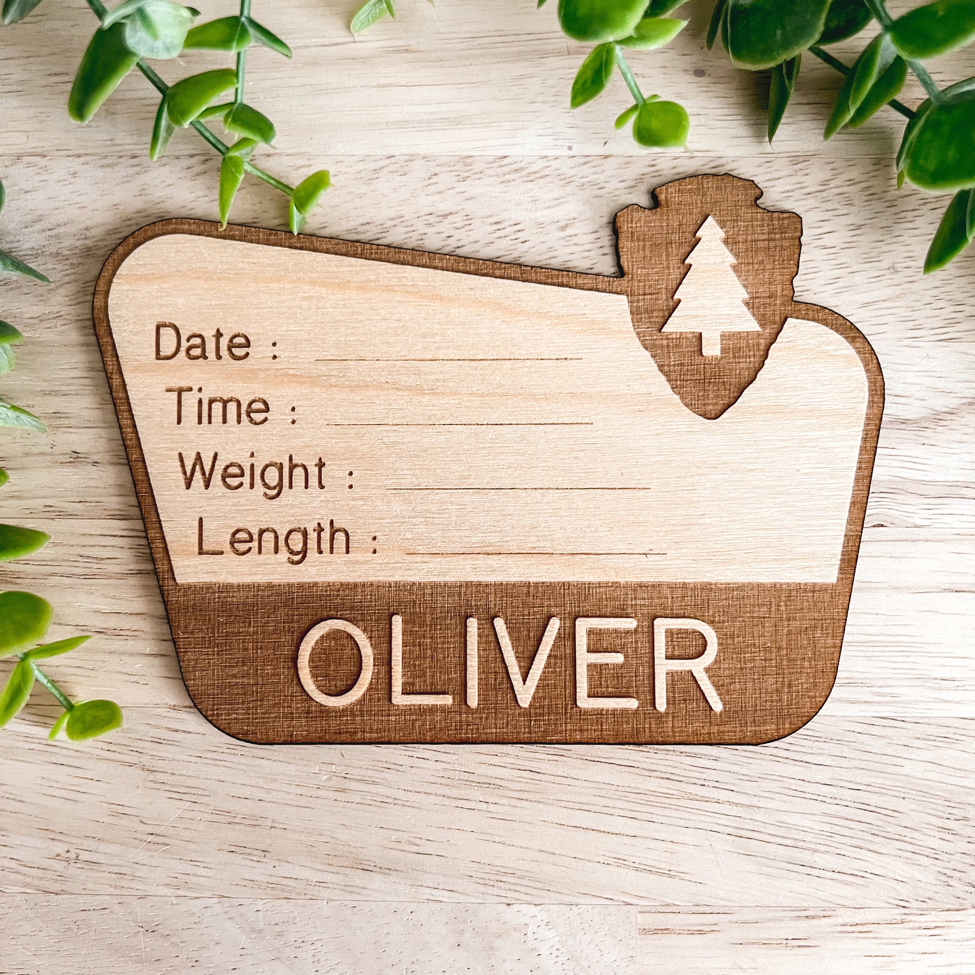National Park Birth Stats Sign / Baby Name Sign / Wooden New Born Name Sign / Hospital Baby Announcement Sign