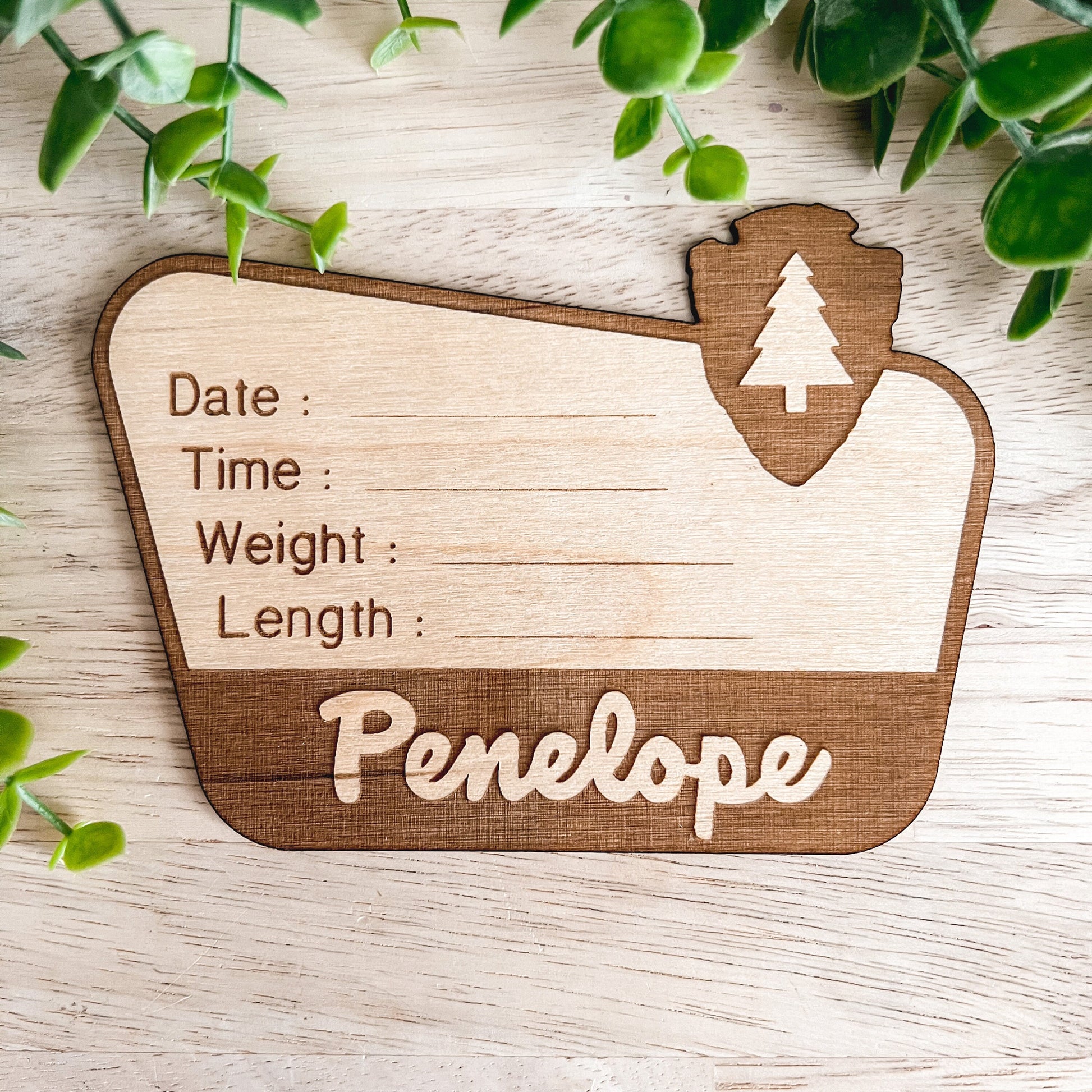 National Park Birth Stats Sign / Baby Name Sign / Wooden New Born Name Sign / Baby Announcement Sign