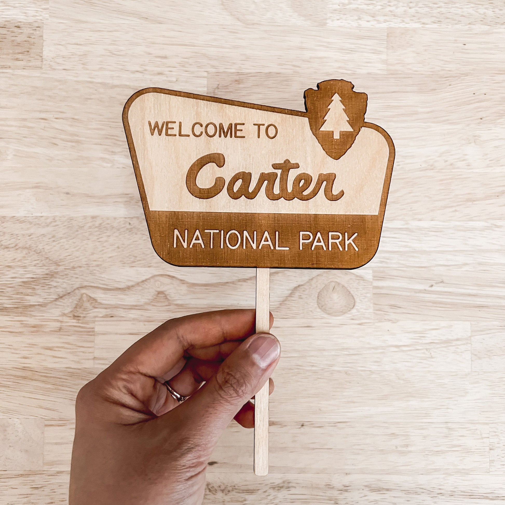 National Park Cake Topper / Baby Name Cake Topper / Birthday Cake Topper
