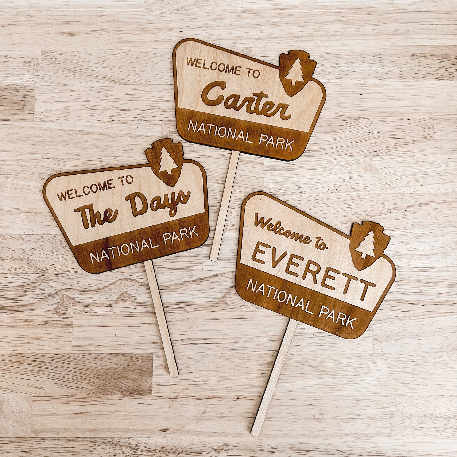 National Park Cake Topper / Baby Name Cake Topper / Birthday Cake Topper