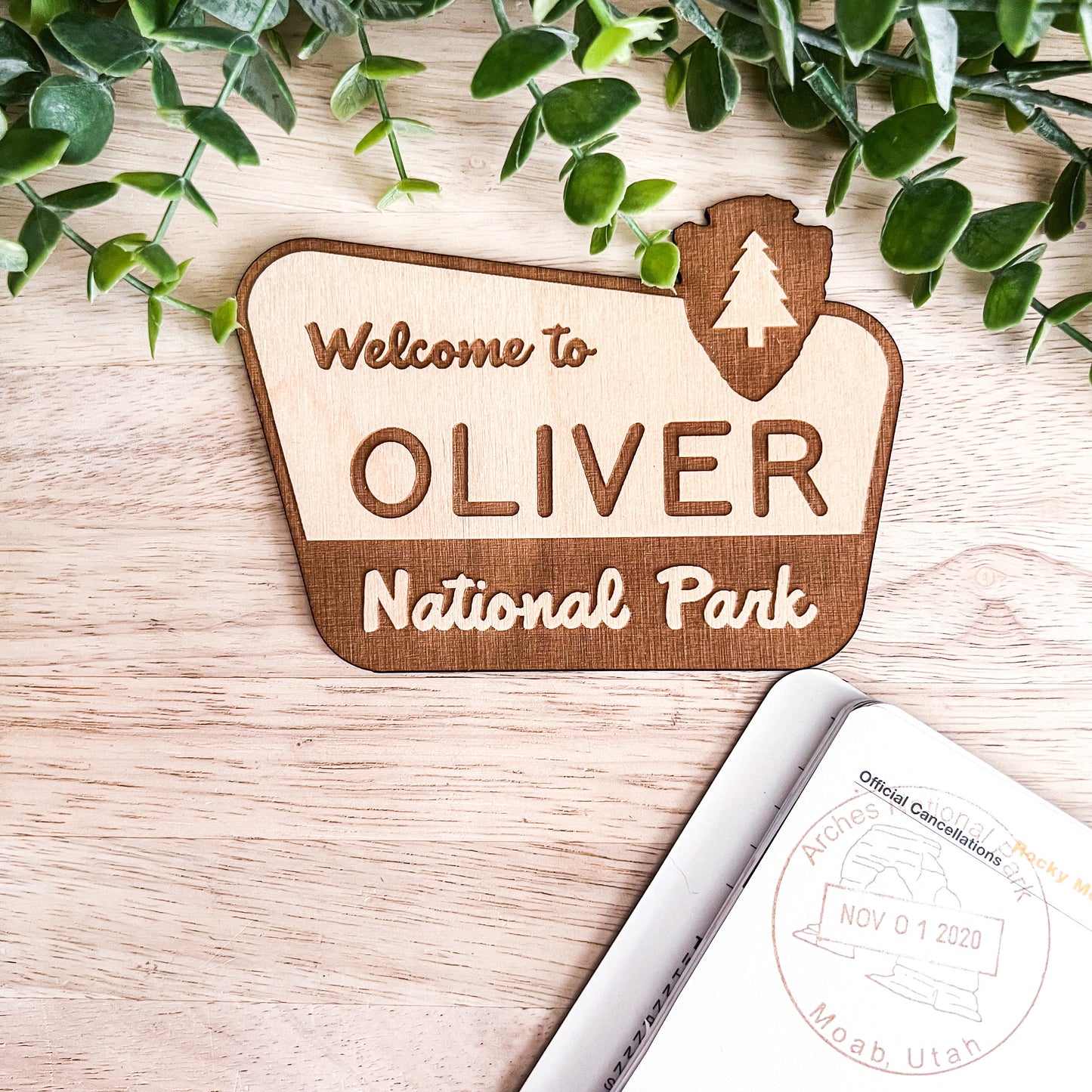 National Park Sign / Baby Name Sign / Last Name Sign / Wooden Name Sign / Baby Announcement Sign