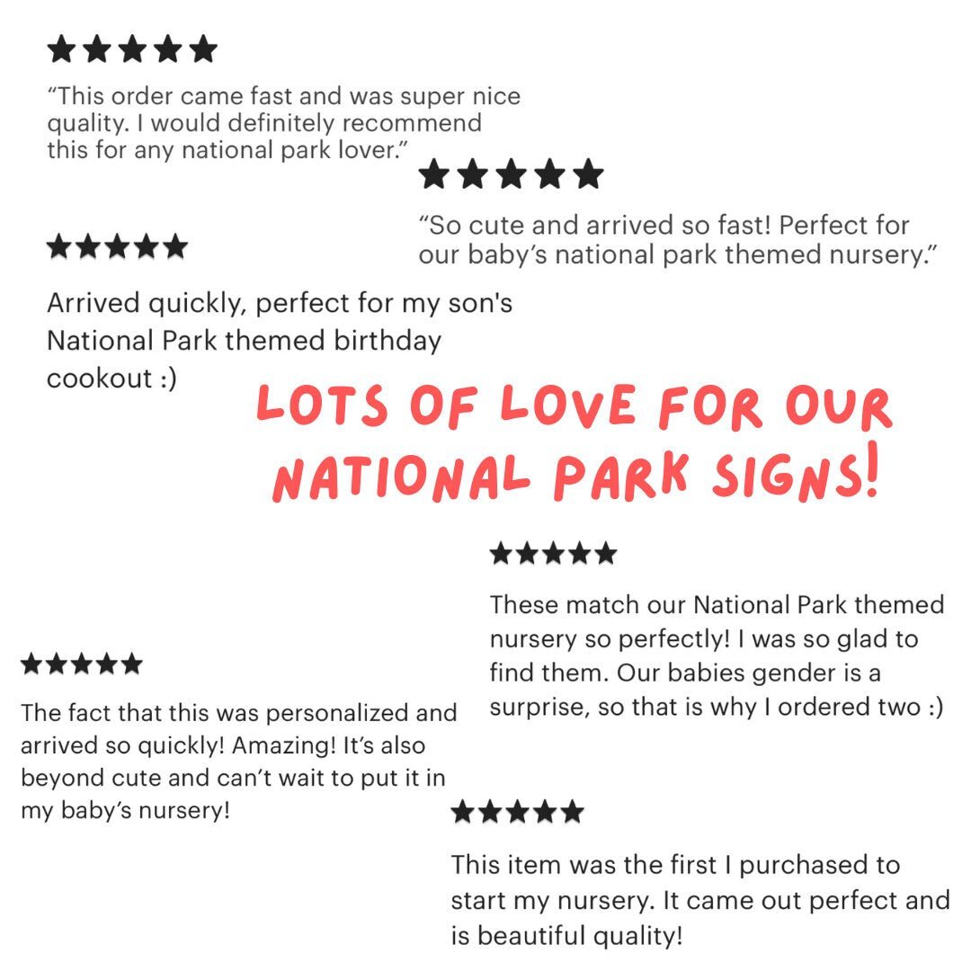 National Park Sign / Baby Name Sign / Last Name Sign / Wooden Name Sign / Baby Announcement Sign
